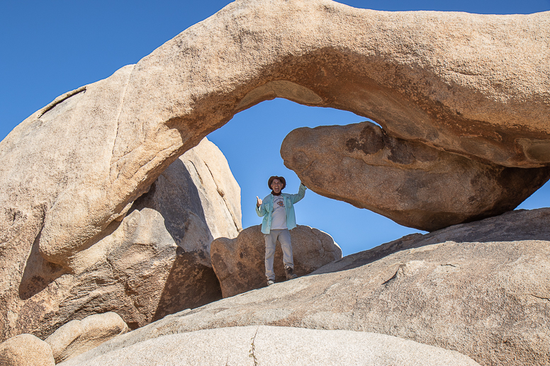 Joshua Tree